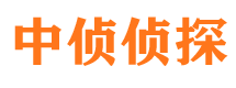 灵川市侦探调查公司